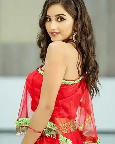 Call Girls Service Narpatganj
